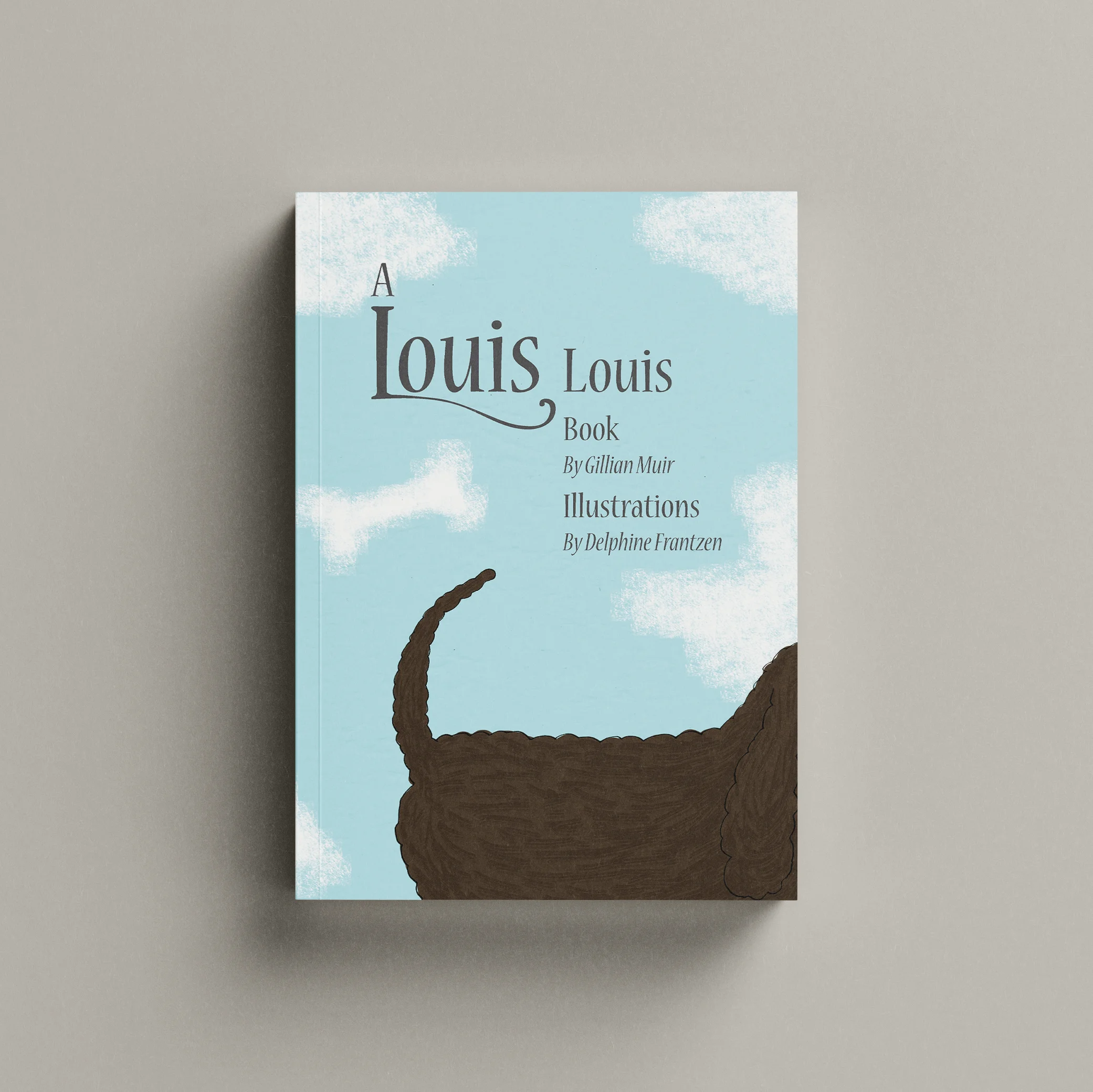 Cover of Louis Finds a New Home